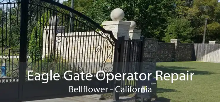 Eagle Gate Operator Repair Bellflower - California