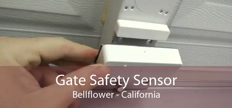 Gate Safety Sensor Bellflower - California