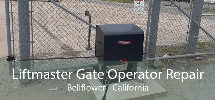 Liftmaster Gate Operator Repair Bellflower - California